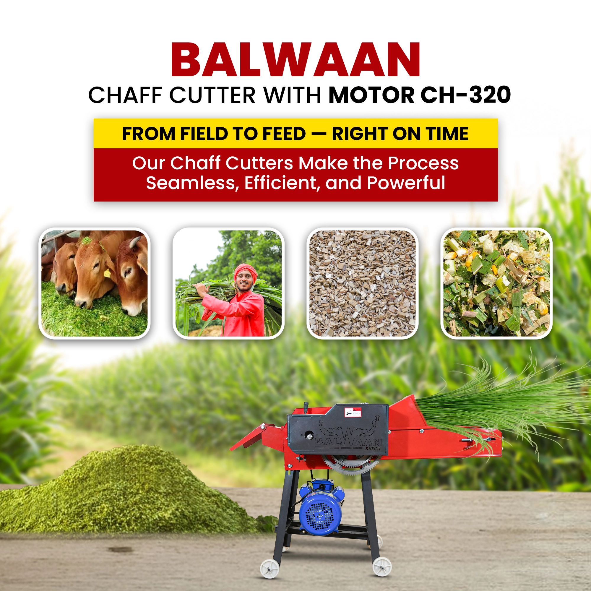 Balwaan-chaff-cutter-with-gear-motor & conveyor-belt-ch-320-6